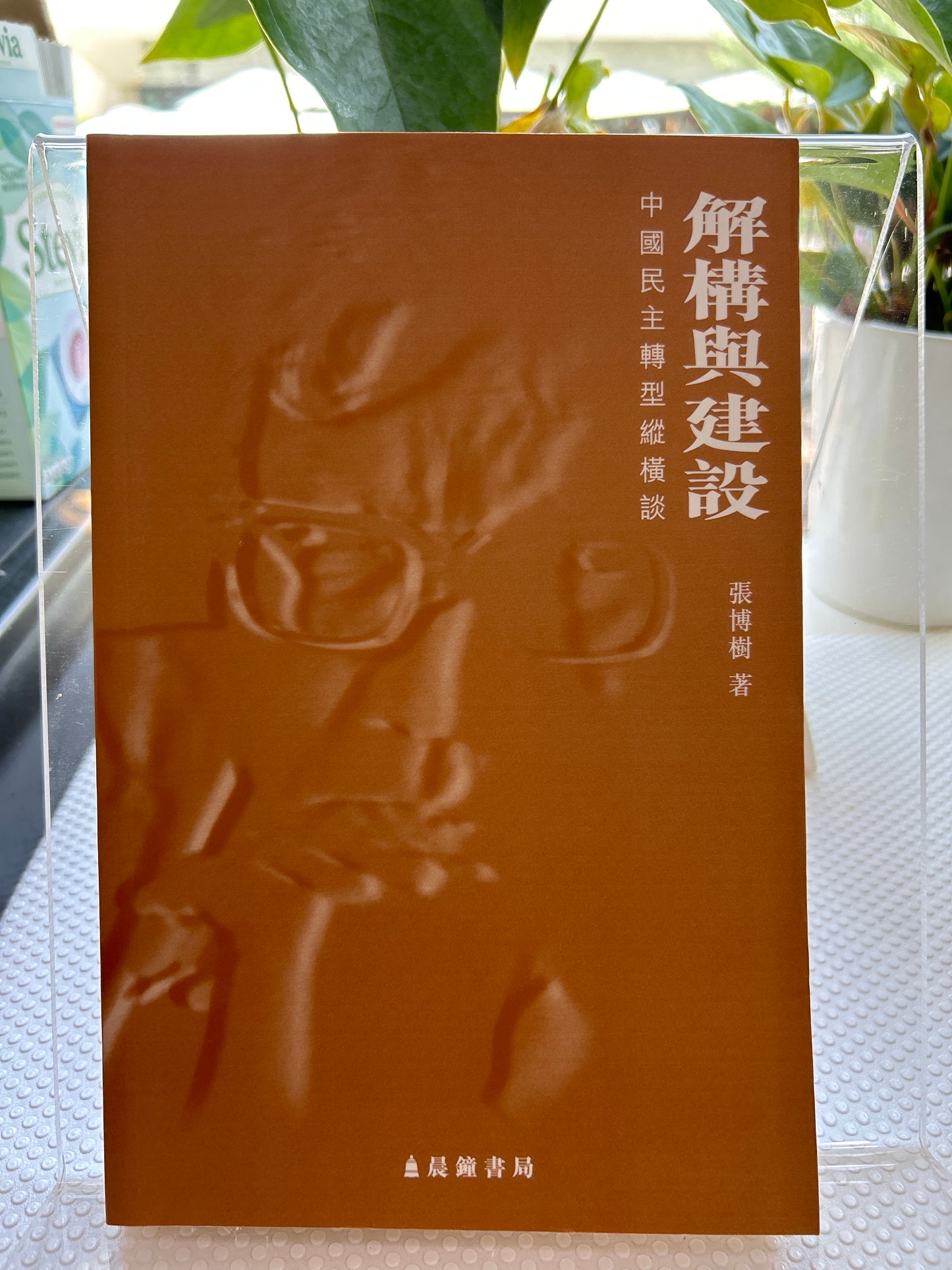 解構與建構:中國民主轉型縱橫談