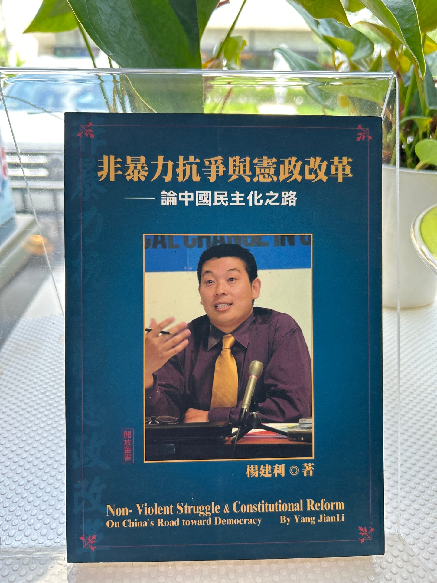 非暴力抗爭與憲政改革
