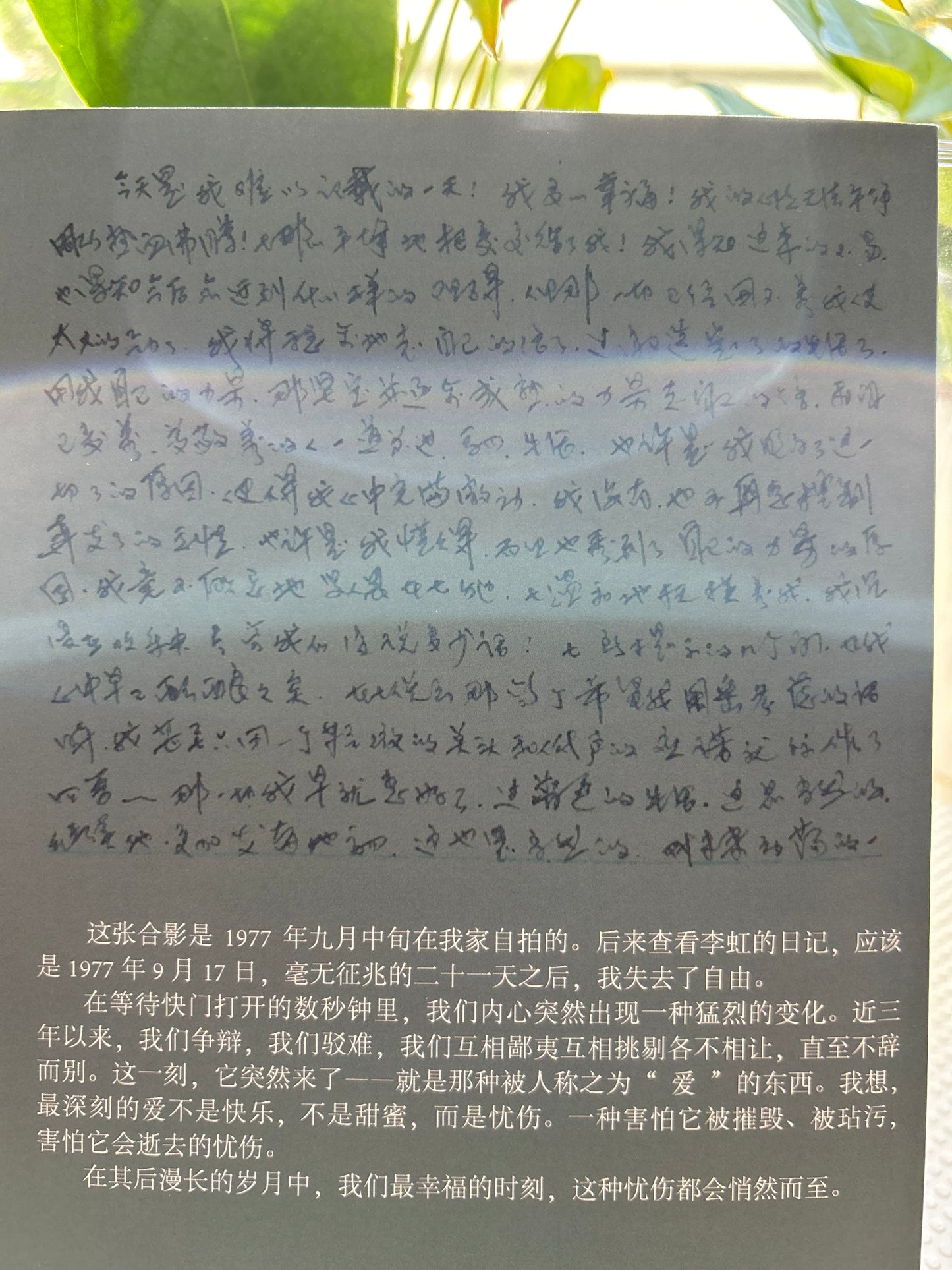 爱是如此忧伤 (上卷)