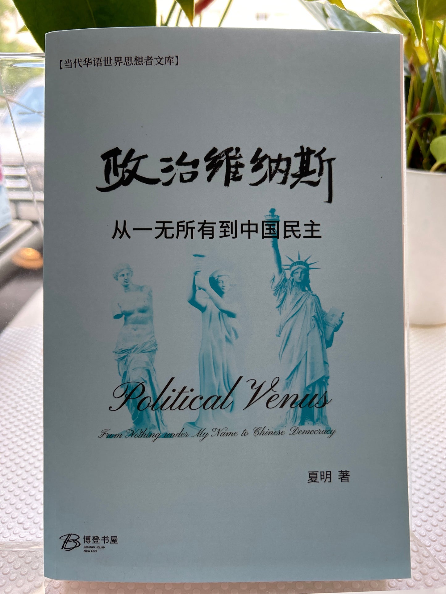政治维纳斯---从一无所有到中国民主