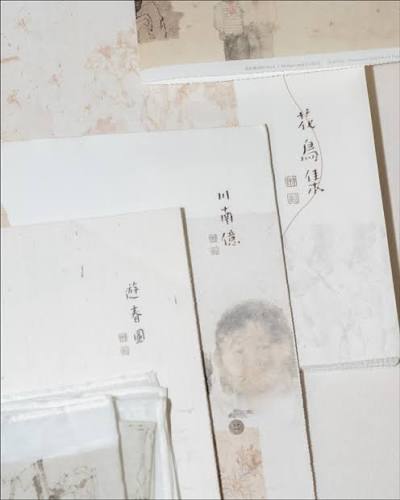 折枝记