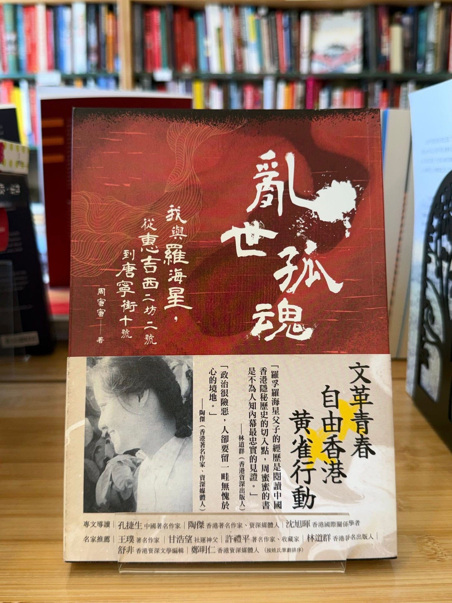亂世孤魂