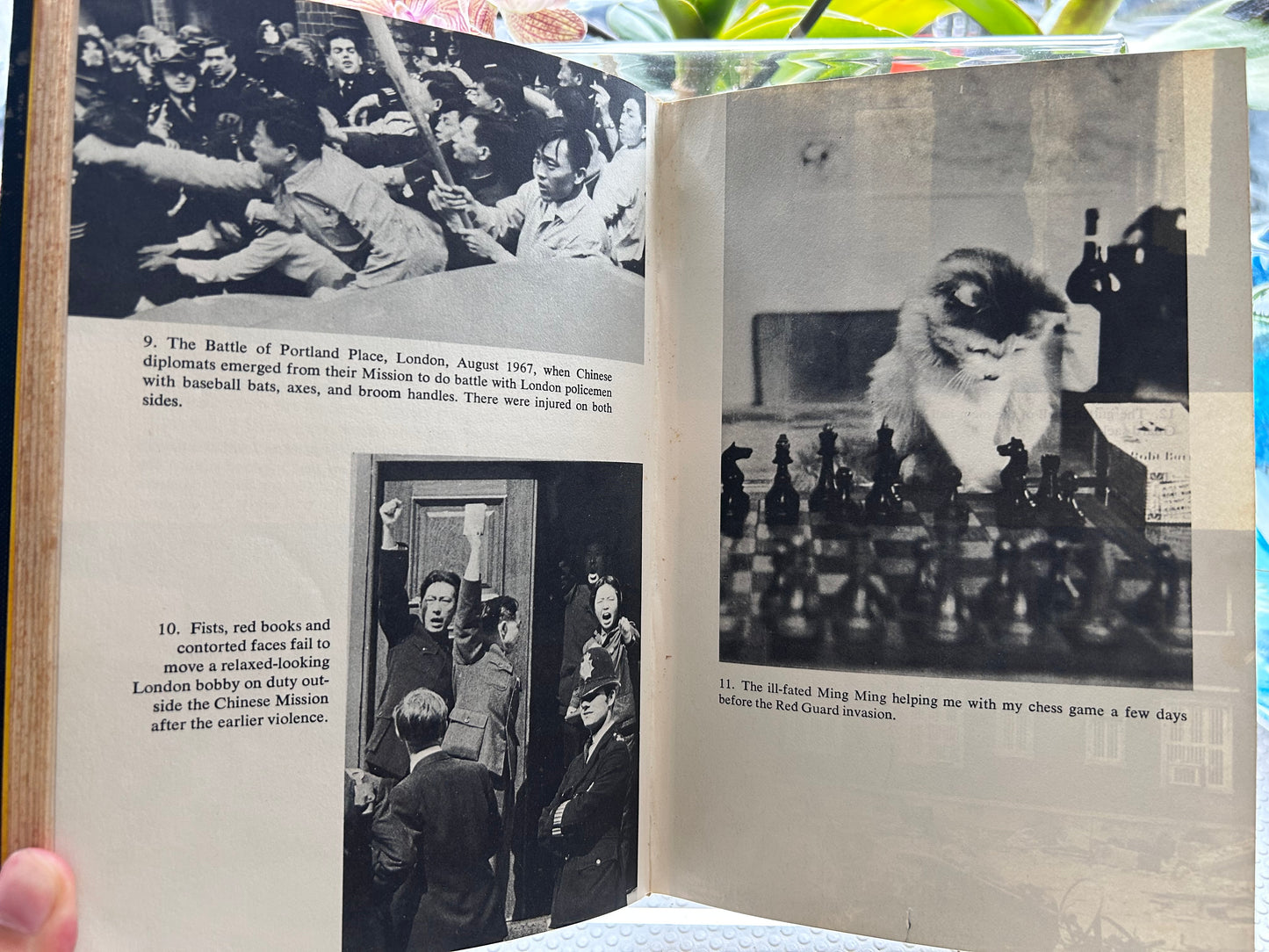 《北京人質》Anthony Grey 著 (1970年初版) Hostage in Peking by Anthony Grey (1970 First Edition)