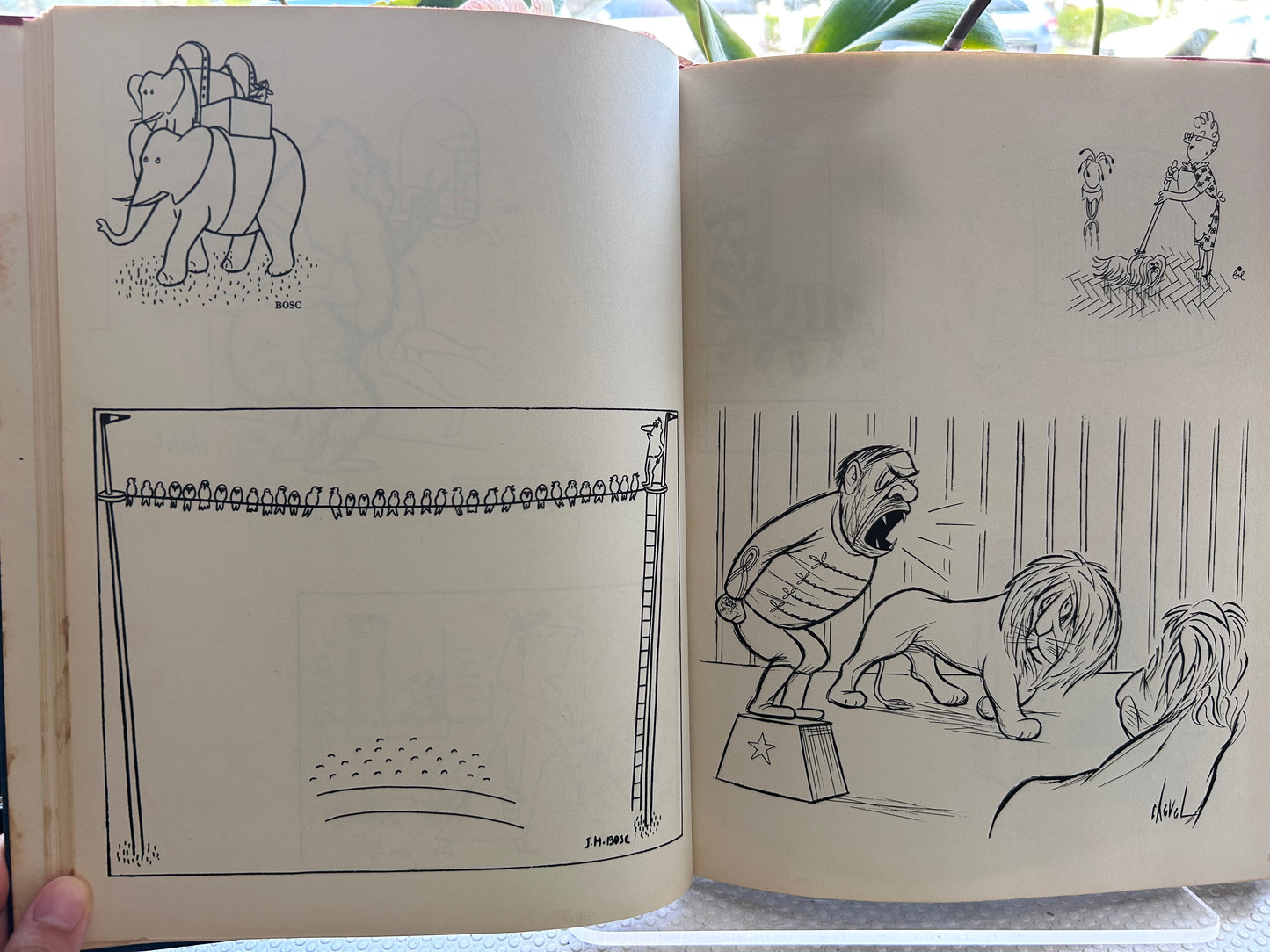 1953年首版 法國精選漫畫集 艾德娜·班奈特 輯  The Best Cartoons from France— Collected by Edna Bennett, Preface by Philippe Halsman (First Edition, First Printing, 1953)
