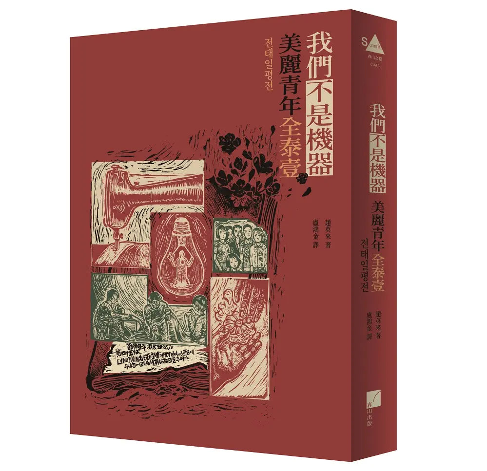 我们不是机器: 美丽青年全泰一
