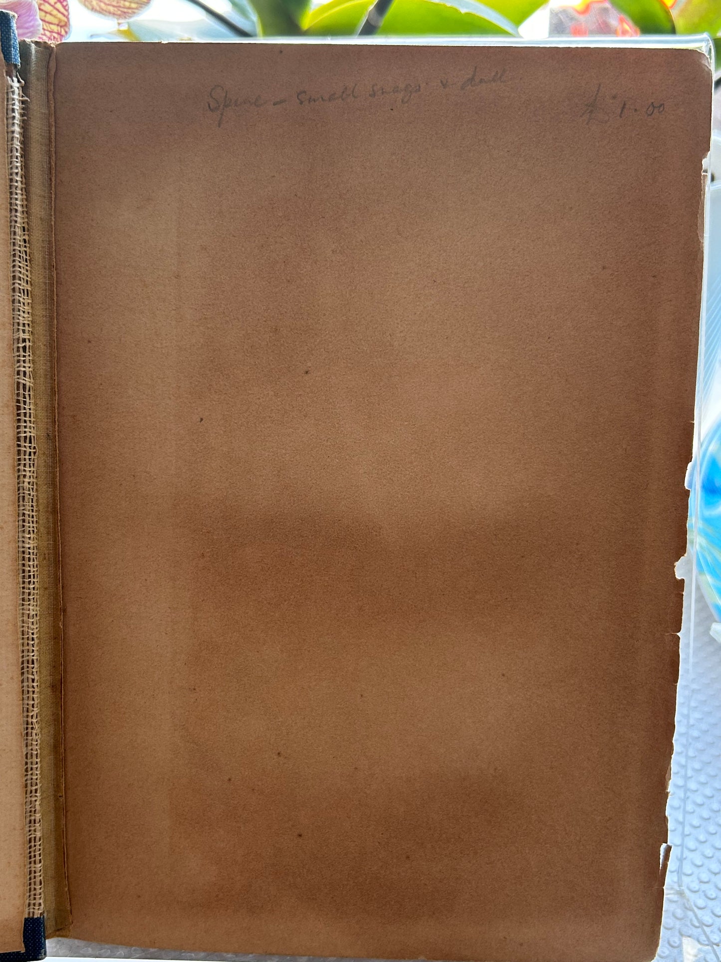 1901年首版《日本：色彩的記錄》Japan: A Record in Colour by Mortimer Menpes (1901, 1st Edition, A&C Black)