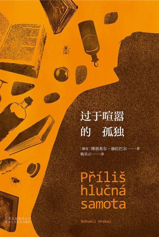 过于喧嚣的孤独*