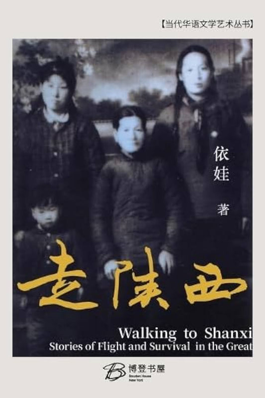 走陕西