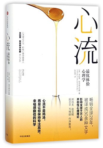心流：最佳体验心理学*