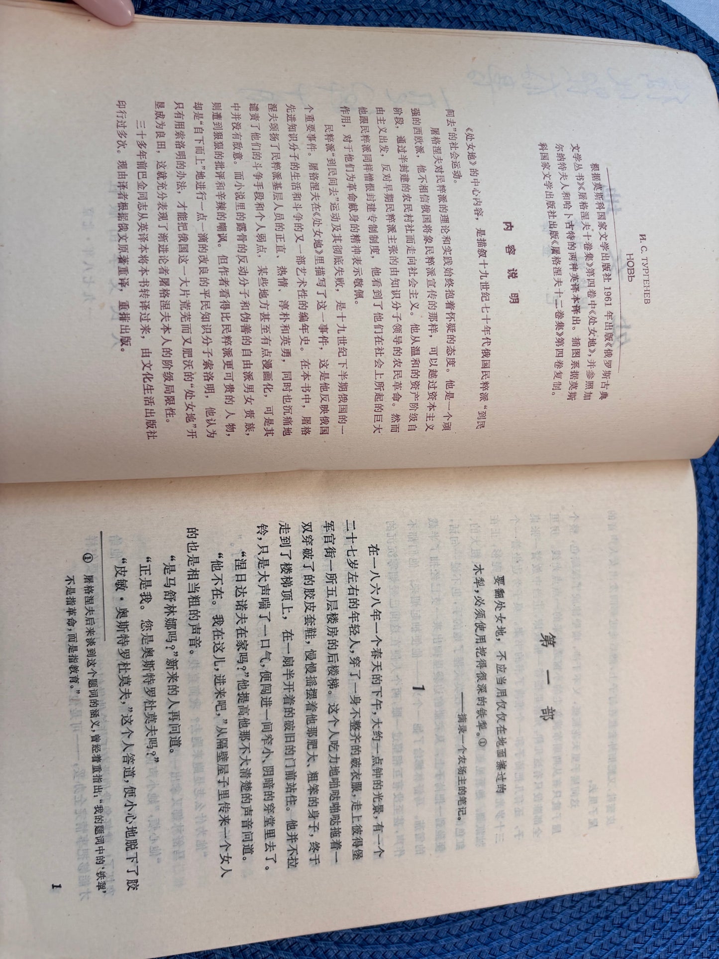 處女地*