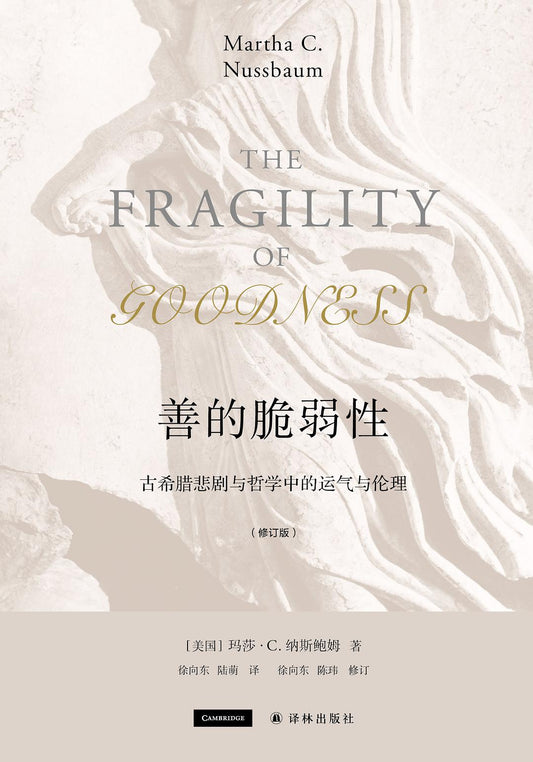 善的脆弱性（修訂版）*