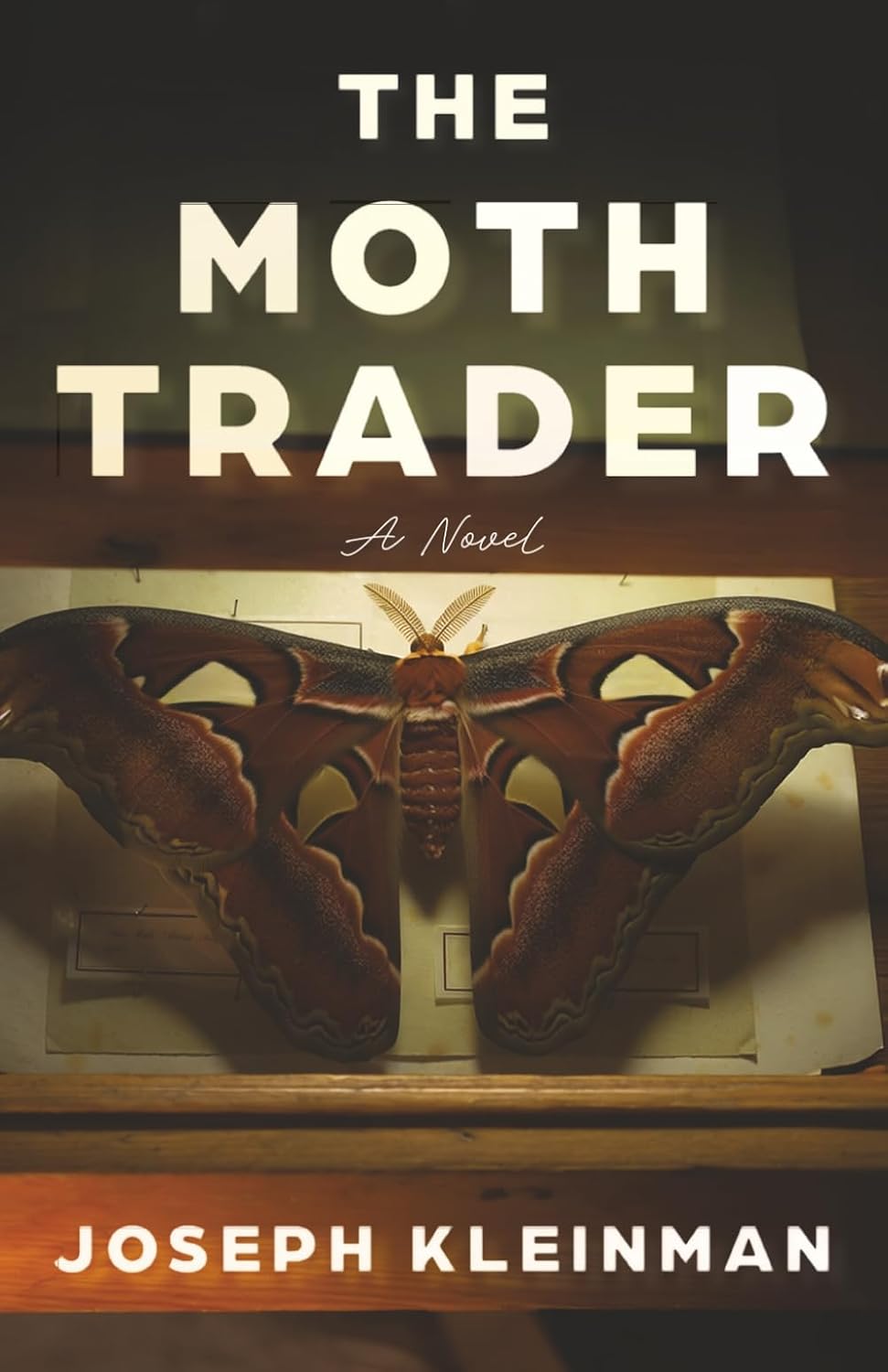 The Moth Trader