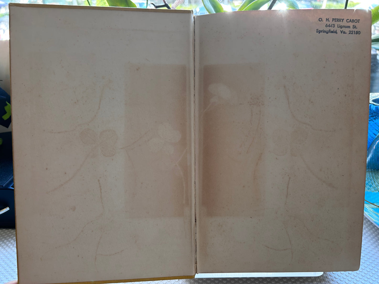 [RARE 1st American Ed 1910] China Under the Empress Dowager - J.O.P. Bland & E. Backhouse 1910年美國首版濮蘭德與白克浩司《慈禧太后統治下的中國》黃布精裝
