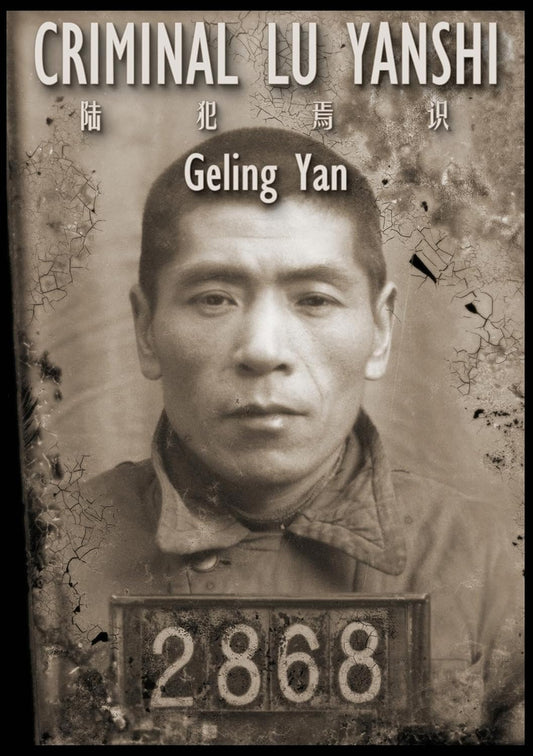 Criminal Lu Yanshi 陆犯焉识英文版