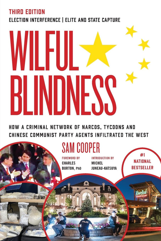 Wilful Blindness Election Interference Elite and State Capture