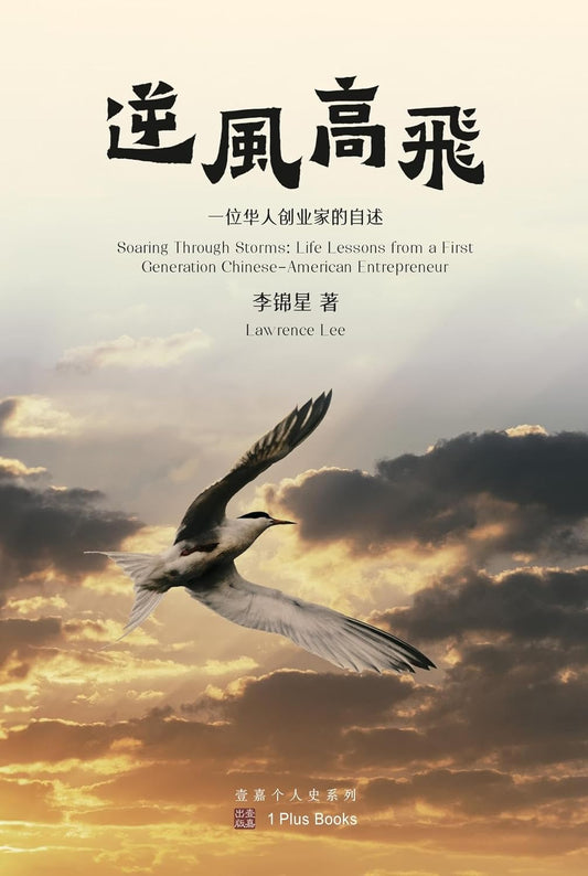 逆风高飞:一位华人创业家的自述