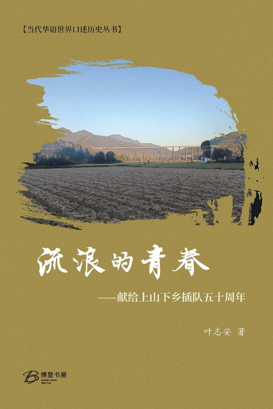 流浪的青春