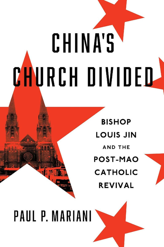 China's Church Divided: Bishop Louis Jin and the Post-Mao Catholic Revival