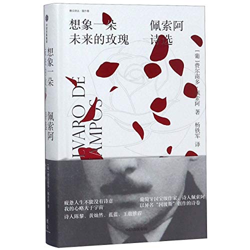 想象一朵未来的玫瑰: 佩索阿诗选*