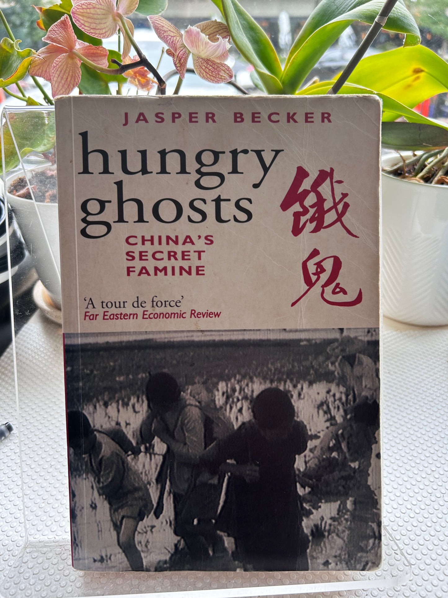 1997年版《餓鬼：中國的秘密大饑荒》賈斯柏·貝克著 Hungry Ghosts: China's Secret Famine by Jasper Becker, John Murray 1997 Paperback Edition