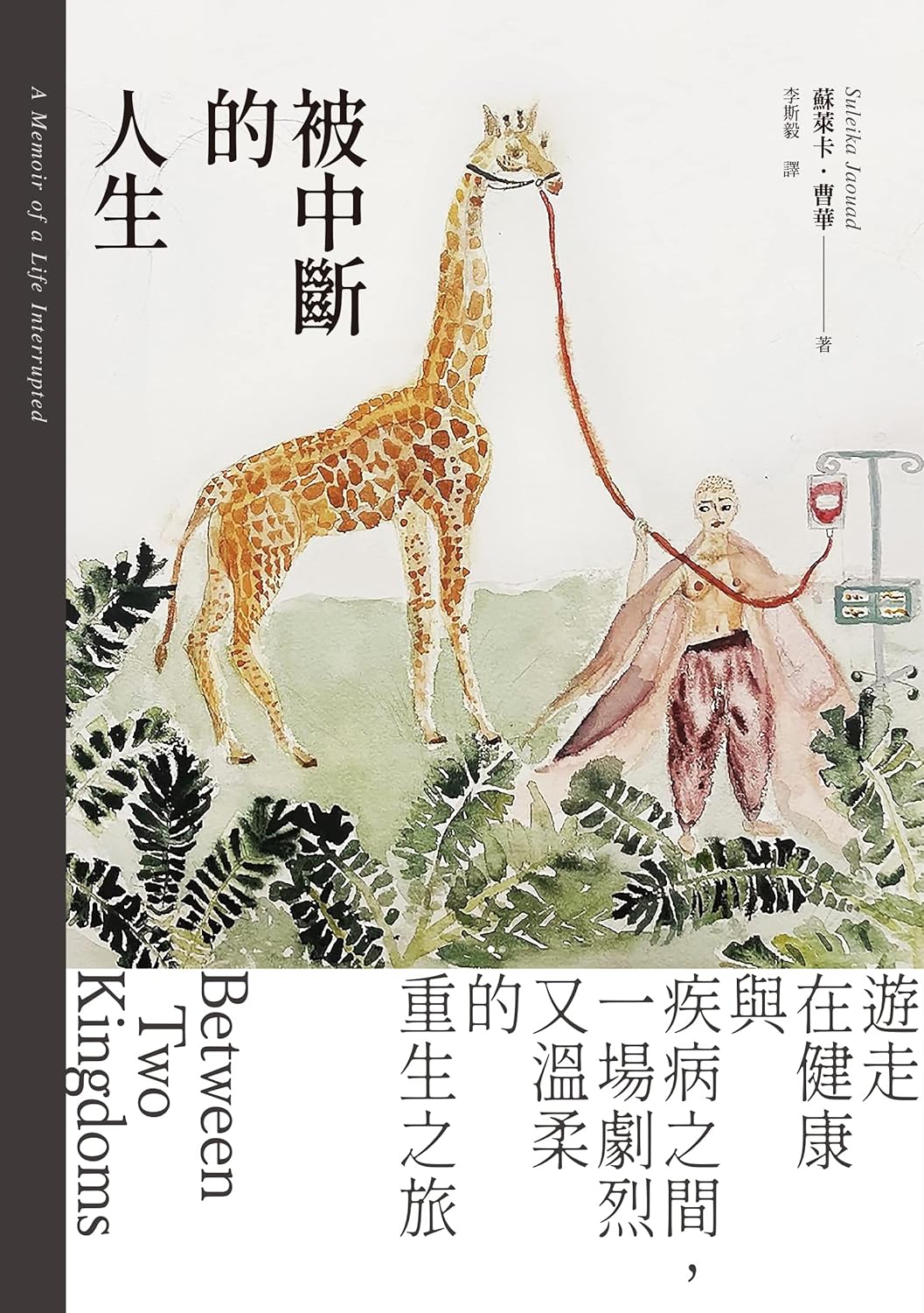 中斷的人生：遊走在健康與疾病之間，一場眼神又溫柔的重生之旅