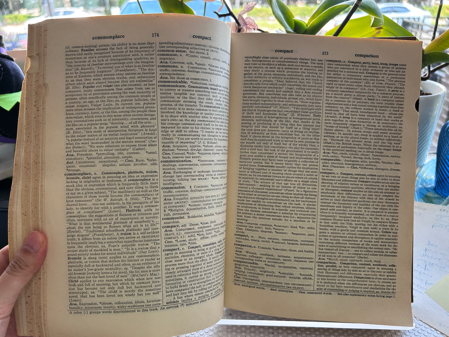 Webster's Dictionary of Synonyms (1951 First Edition) 《韋氏同義詞大詞典》精裝本 1951年首版