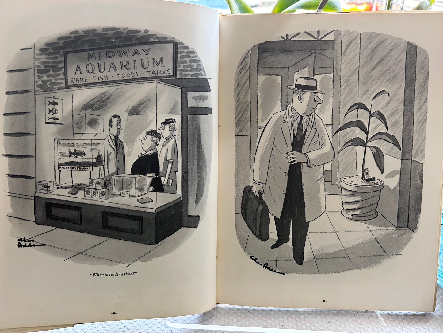 1960年精裝首版 黑瑪利亞 查理斯·亞當斯 著 Black Maria — Charles Addams (First Edition, First Printing, 1960)