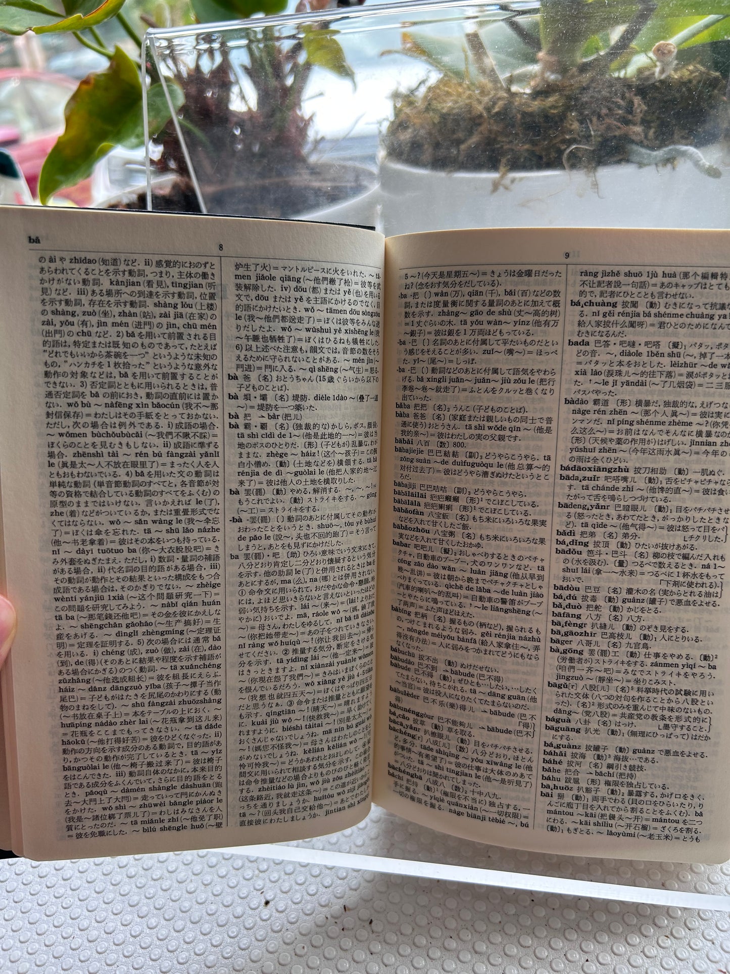 [With 1962 RMB 2-Jiao Banknote]Iwanami Chinese Dictionary by Takeshiro Kuraishi rare First Edition [附1962年第三套人民幣2角]1963年岩波書店《中國語辭典》首版