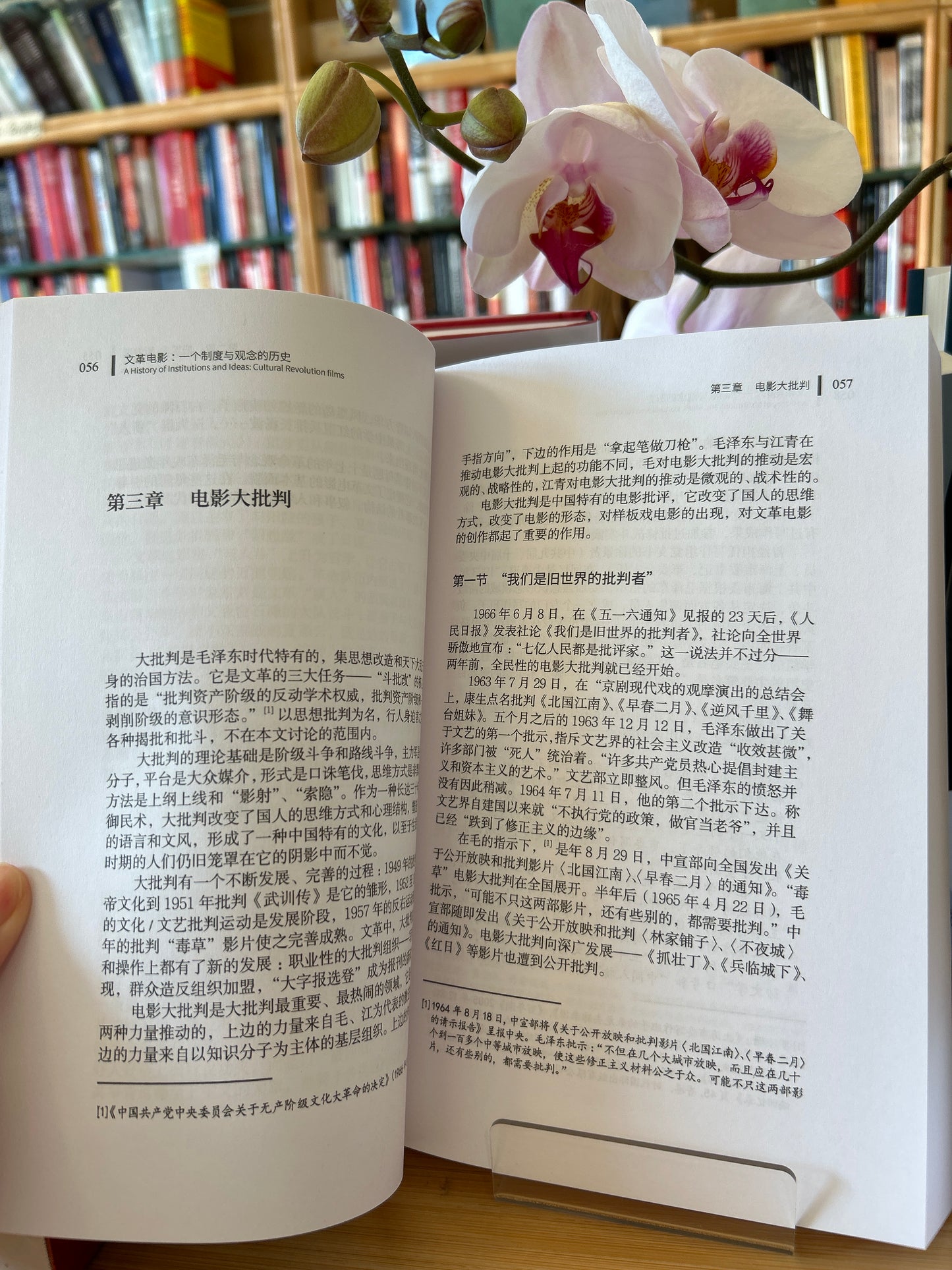 文革电影1966-1976 Films During the Cultural Revolution (1966-1976): Institution and Ideas in Chinese Film (2)