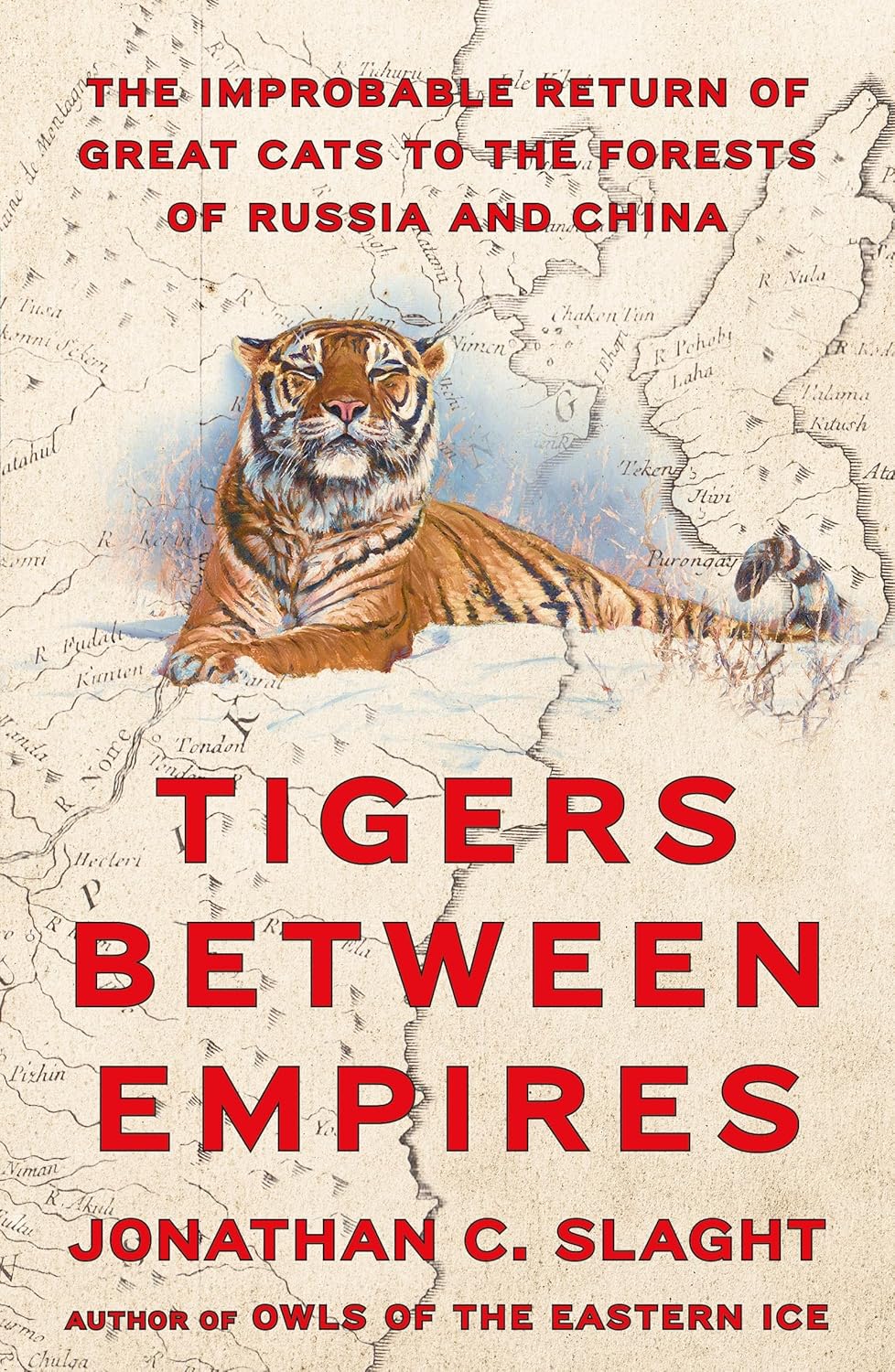 Tigers Between Empires: The Improbable Return of Great Cats to the Forests of Russia and China