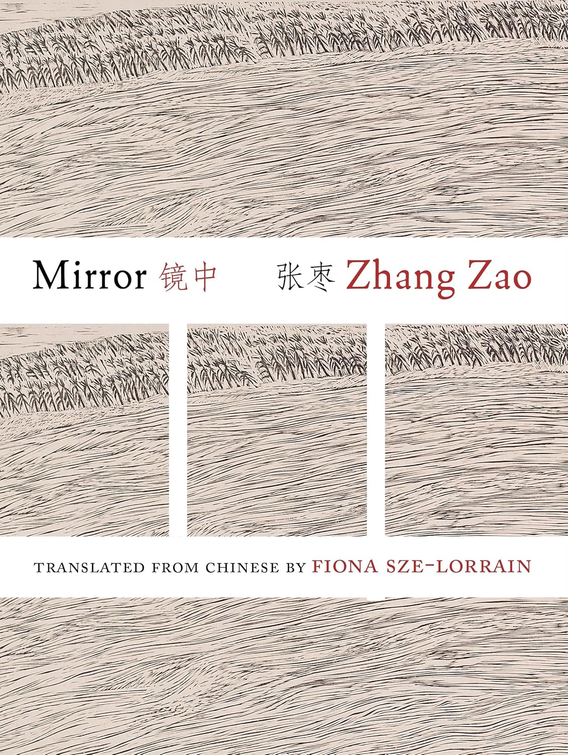 Mirror (Jintian Series of Contemporary Chinese Poetry)