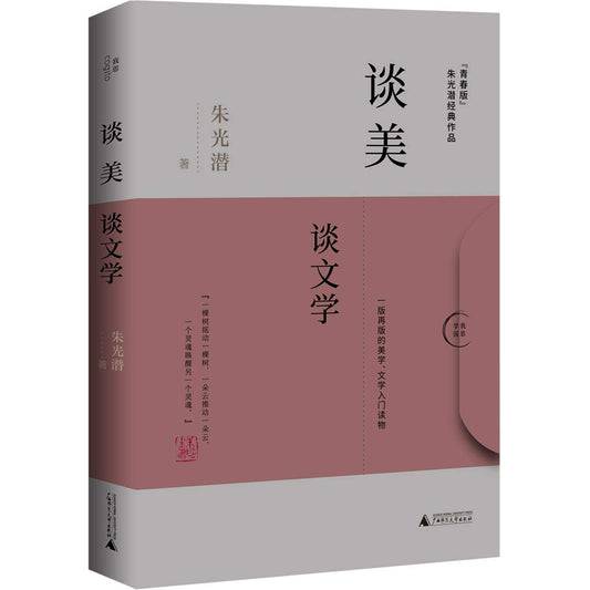 谈美·谈文学*