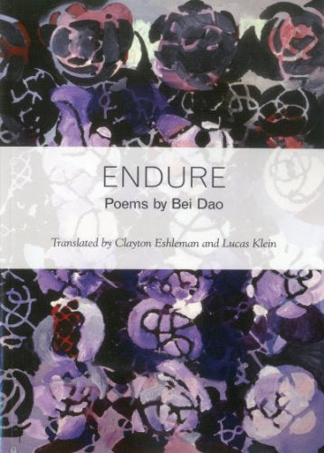 ENDURE（黑寡妇出版社现代诗歌）