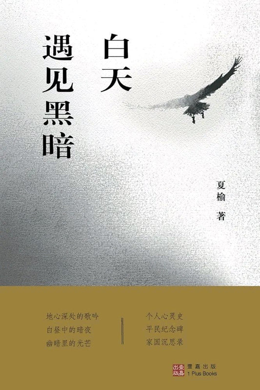 白天遇见黑暗