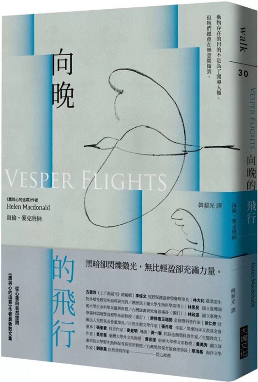 向晚航班