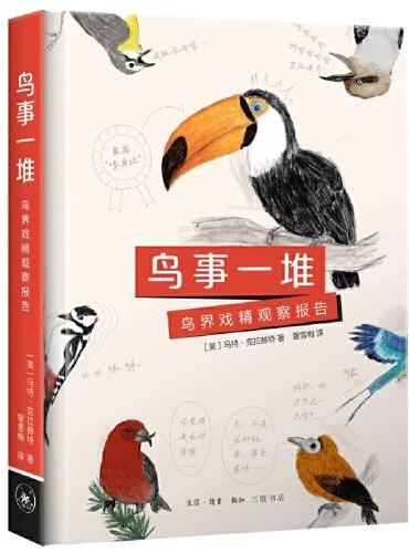 鳥事眾多：鳥界戲精觀察報告