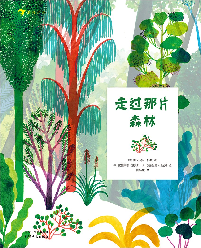 穿过那片森林