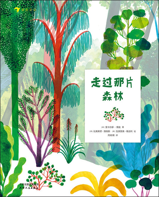 穿过那片森林