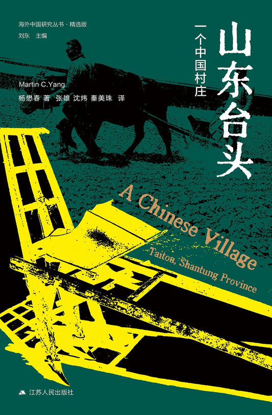 山東台頭：一個中國村莊