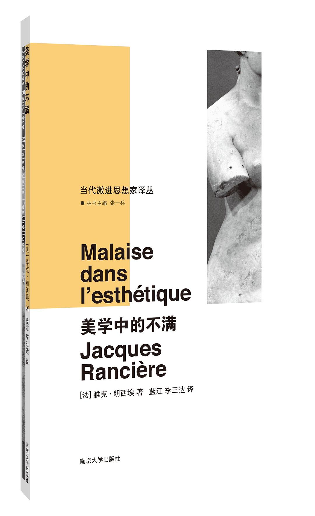 当代激进思想家译丛.美学中的不满