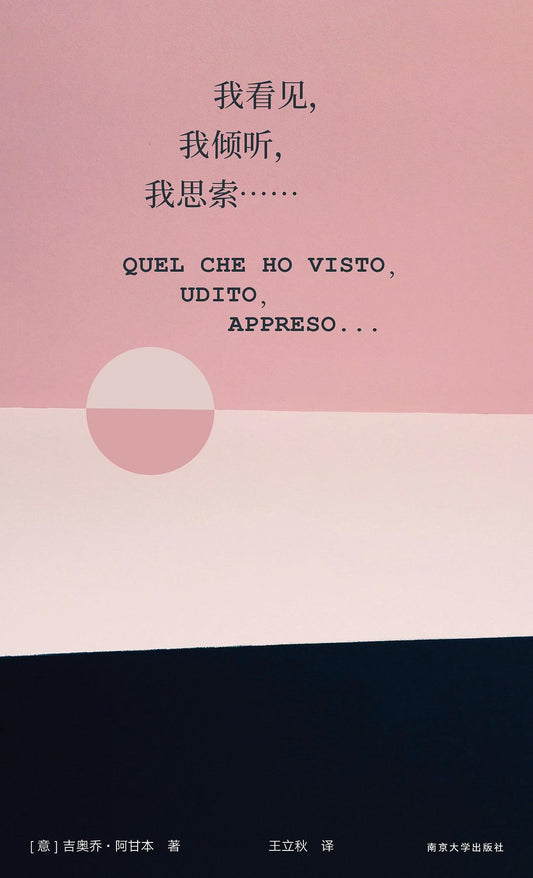 我，我看見，我思索…