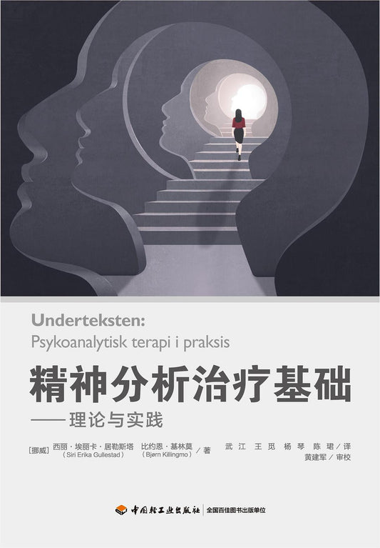 分析精神治疗基础--理论与实践