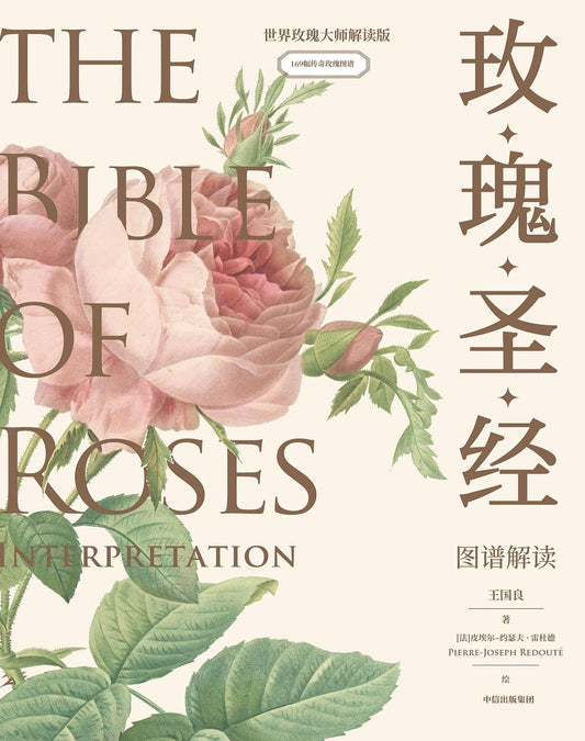 玫瑰聖經圖譜閱讀