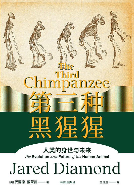 第三種黑猩猩