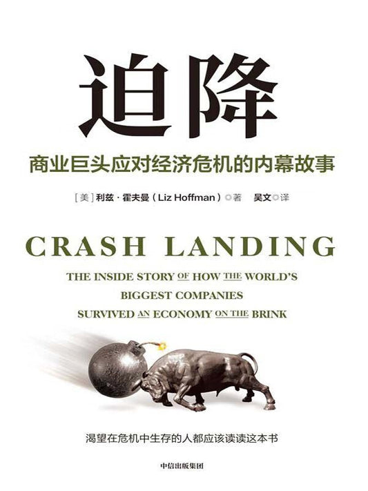 迫降: 商业巨头应对经济危机的内幕故事