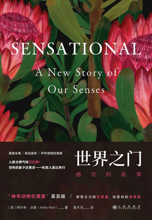 世界之門：感官的故事