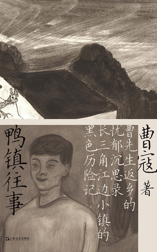 鸭镇往事（曹先生返乡的忧郁沉思录，长三角江边小镇的黑色历险记）