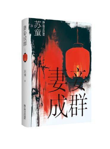 妻妾成群(精装)