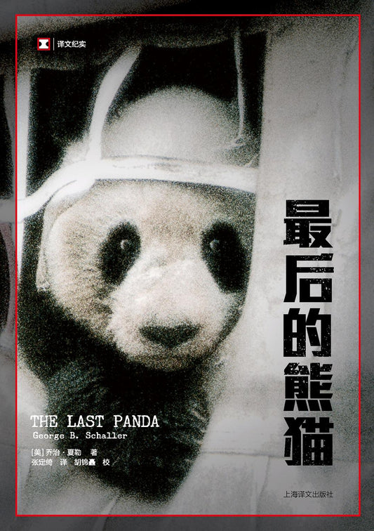 最後的熊貓