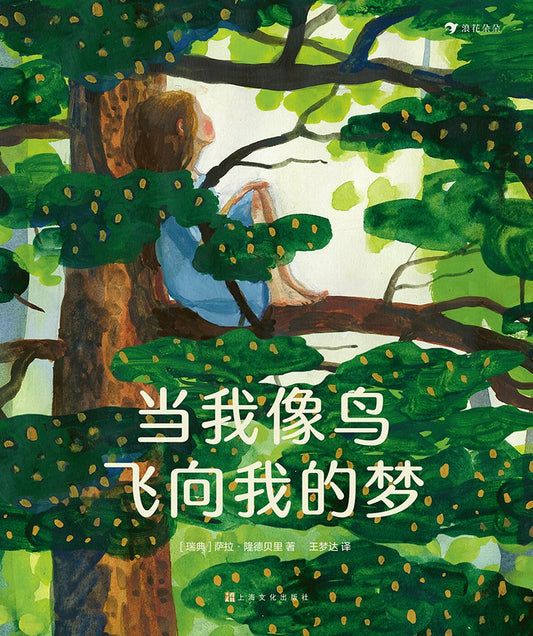 当我像小鸟飞向我的梦时